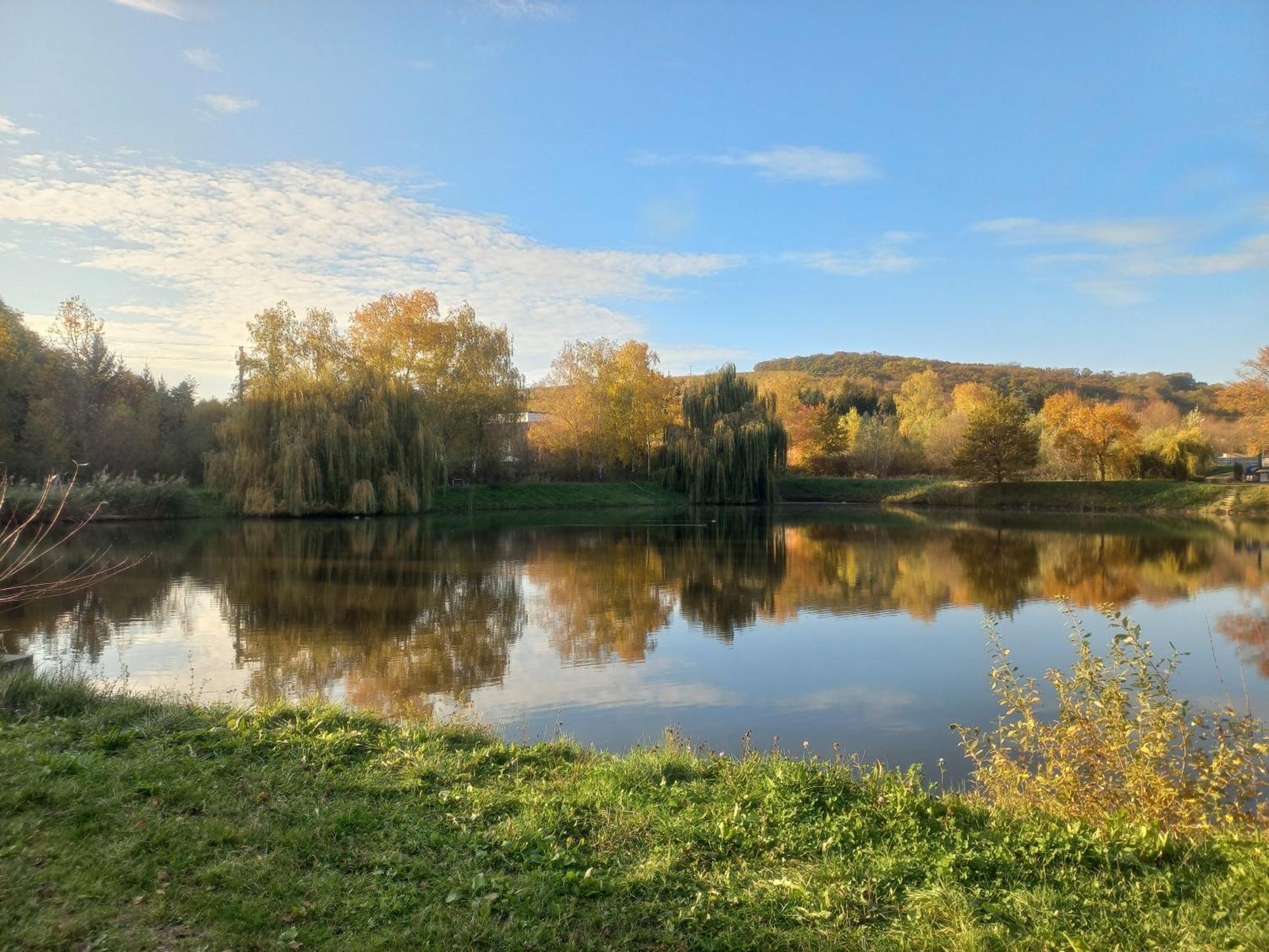 Penzion Ve Vinohradě Němčičky Esterno foto